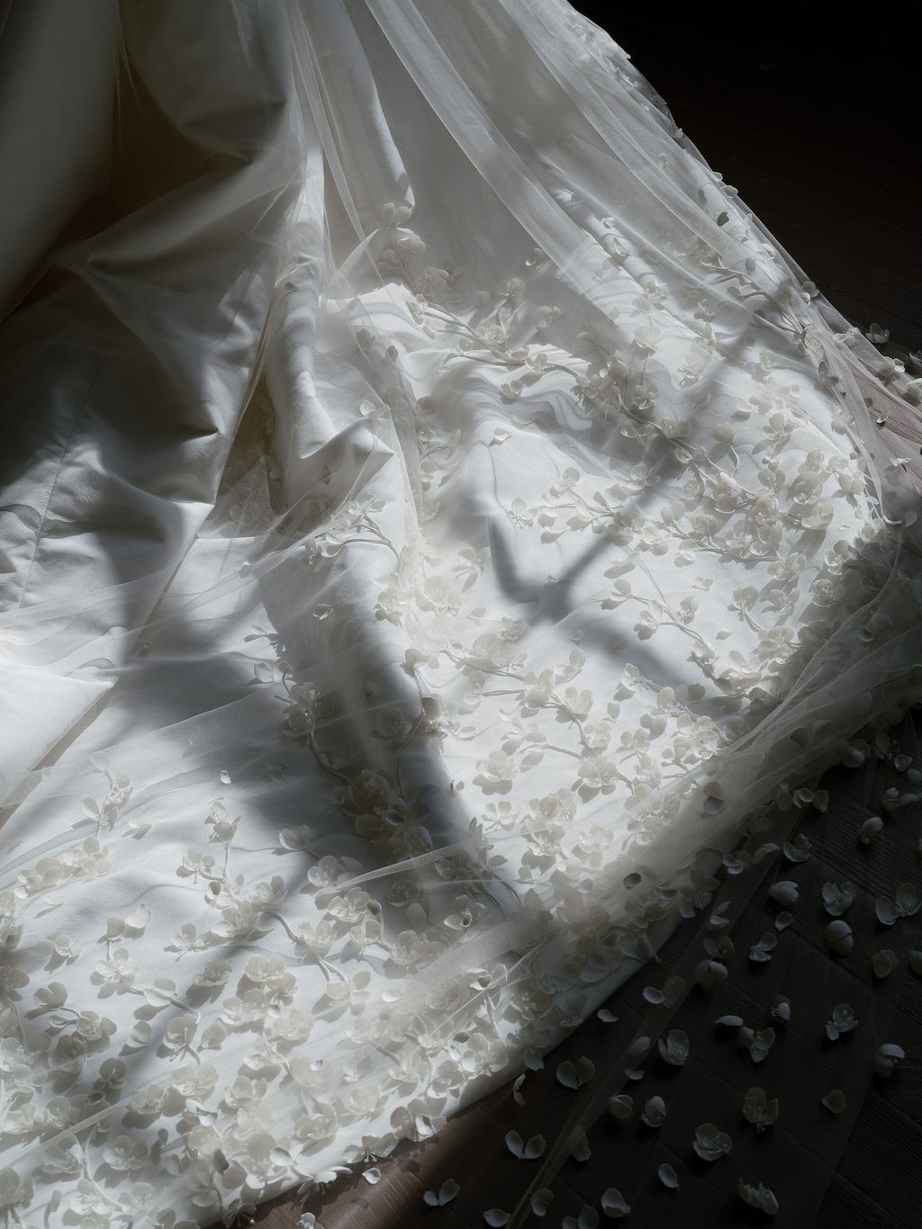 Image may contain Clothing Dress Fashion Formal Wear Gown Wedding Wedding Gown Adult and Person